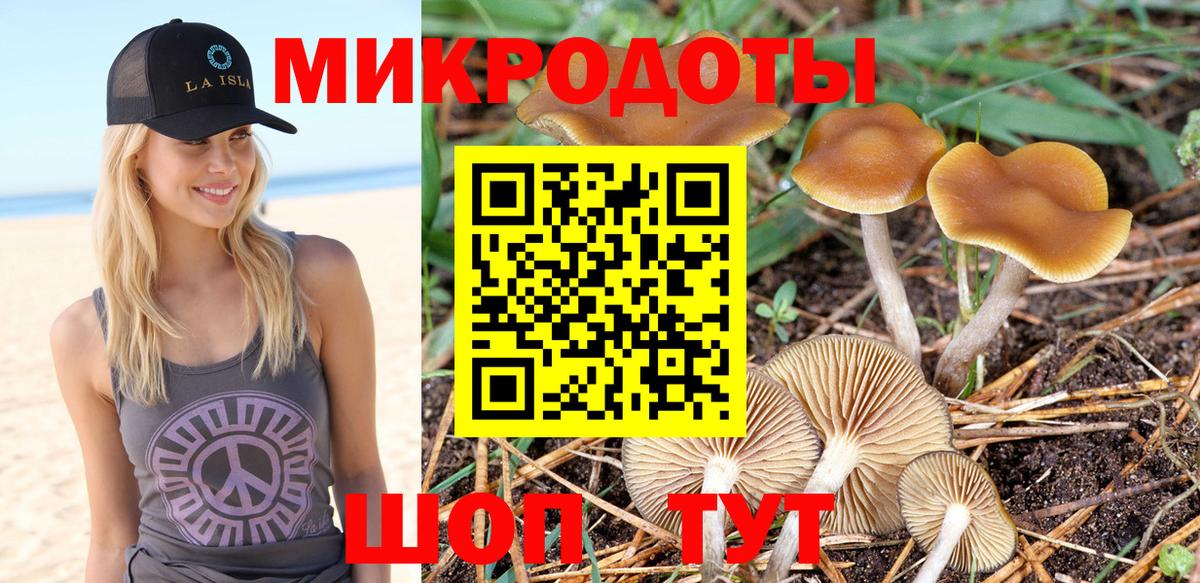 Псилоцибиновые грибы Psilocybe  Галлюциногенные грибы GOLDEN TEACHER  Вход с VPN  Холмск 